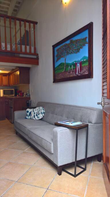 Old San Juan Historic Loft 4 The Adventurous Apartment Bagian luar foto